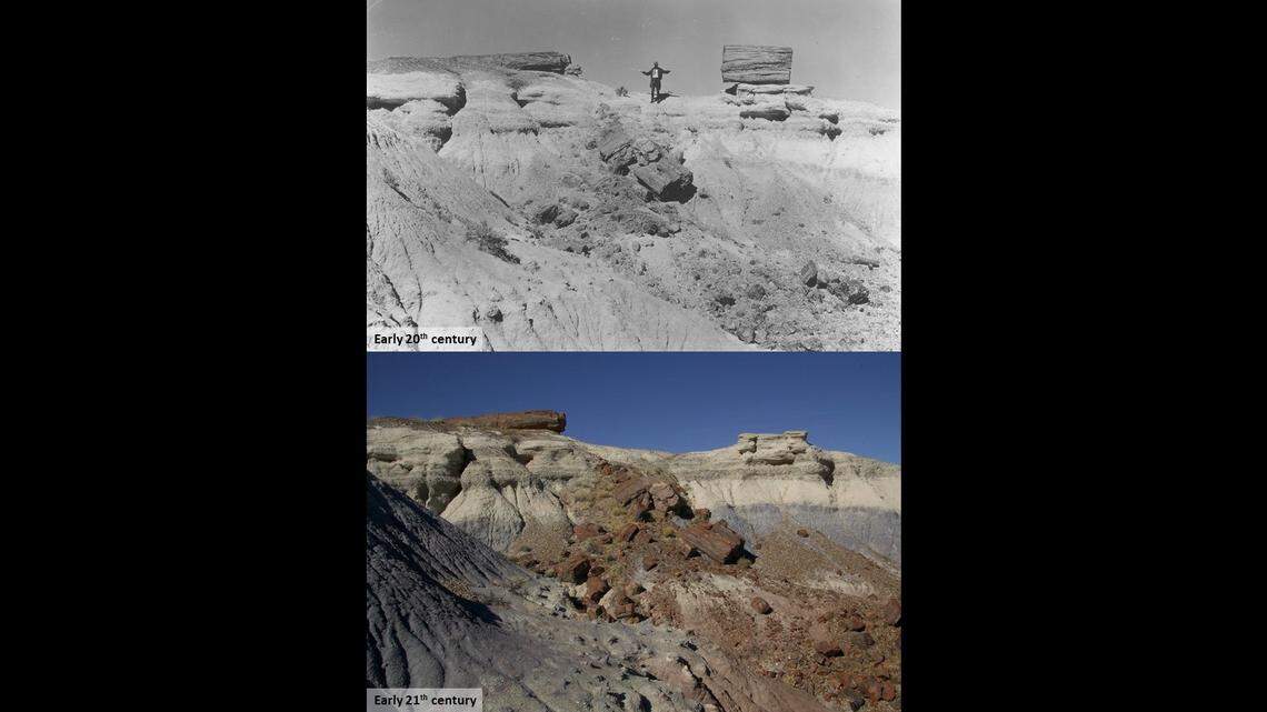 Photos taken 100 years apart show something is missing at Arizona’s Petrified Forest National Park. Can you see it?