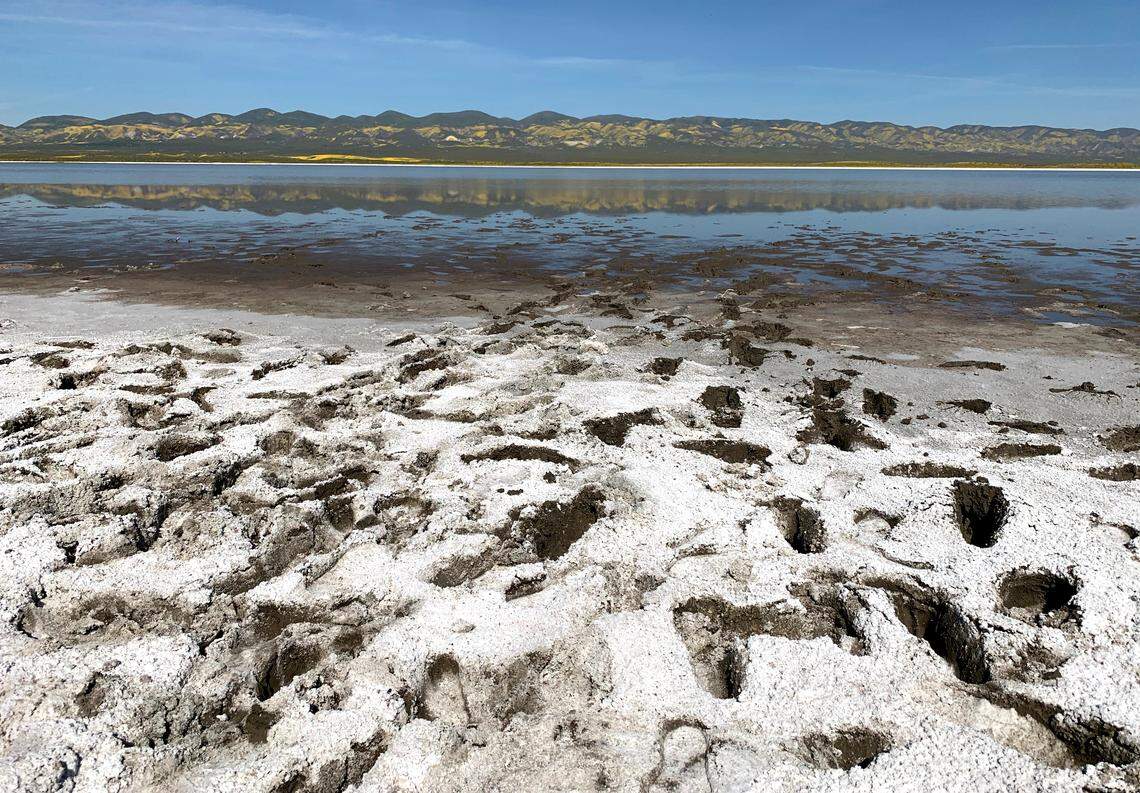 Footprints break through the salty crust on the shore of Soda Lake in the Carrizo Plain National Monument.