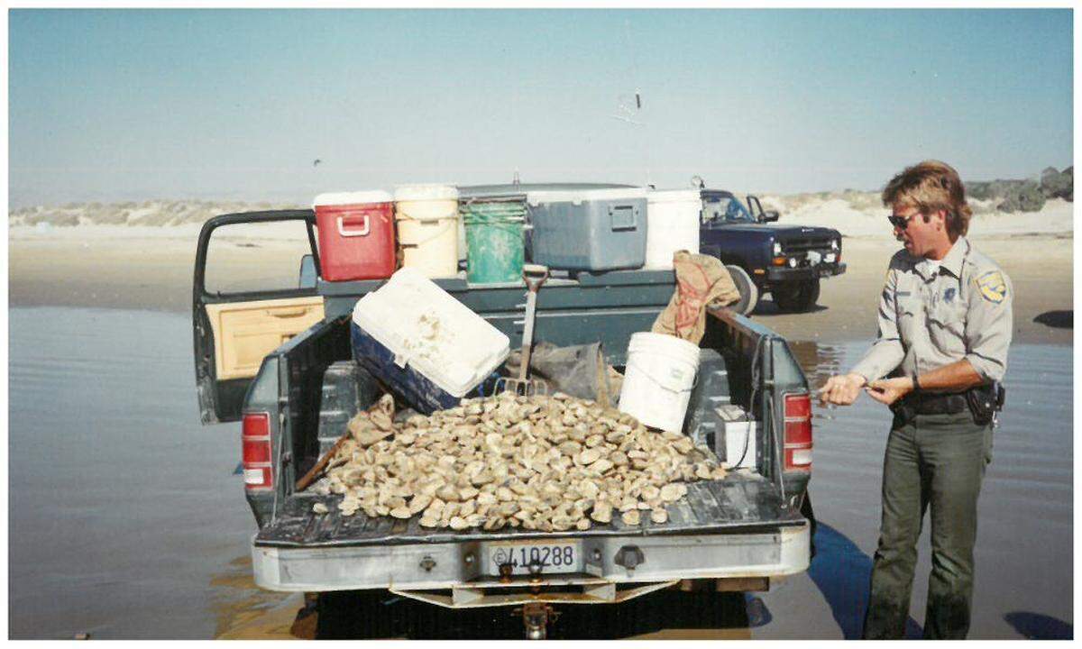 Game warden Drew Brandy takes a look at a truck trailer bed filled with 1,897 illegally taken clams in October 1990. Pismo clams had a brief resurgence in the early ’90s before disappearing until recently.
