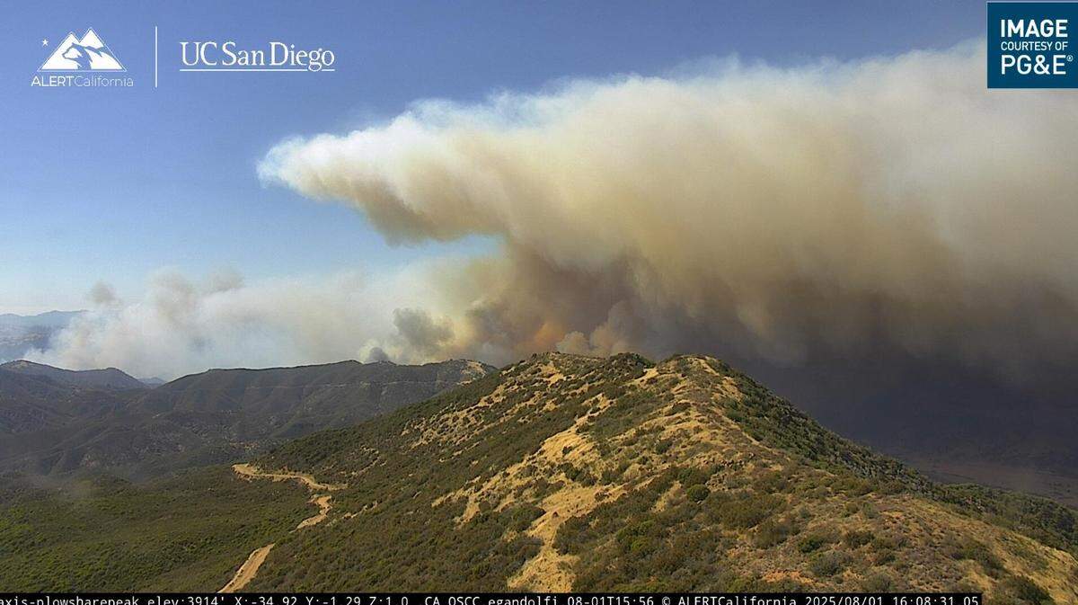 Gifford Fire broke out in southern San Luis Obispo County on Aug. 2, 2025, sending smoke pluming into the air and closing a local highway. The fire was more than 800 acres as of 4 p.m.