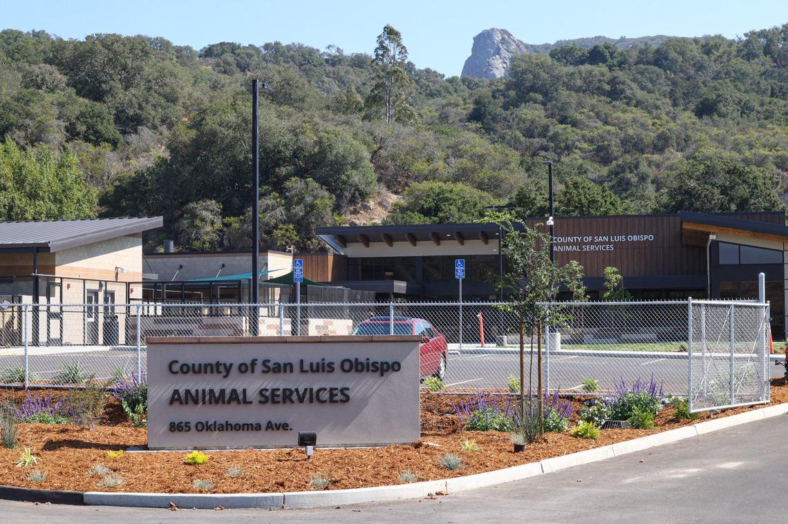 San Luis Obispo County opened a new animal services center that promises a better experience for animals, clients and staff. It is located on the other side of Wood’s Humane Society, and It replaces an outdated facility built in the early 1970s.