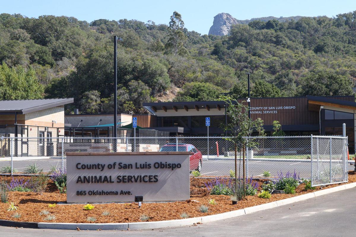 San Luis Obispo County is opening a new animal services center that promises a better experience for animals, clients and staff. It is located on the other side of Wood’s Humane Society, and It replaces an outdated facility built in the early 1970s.