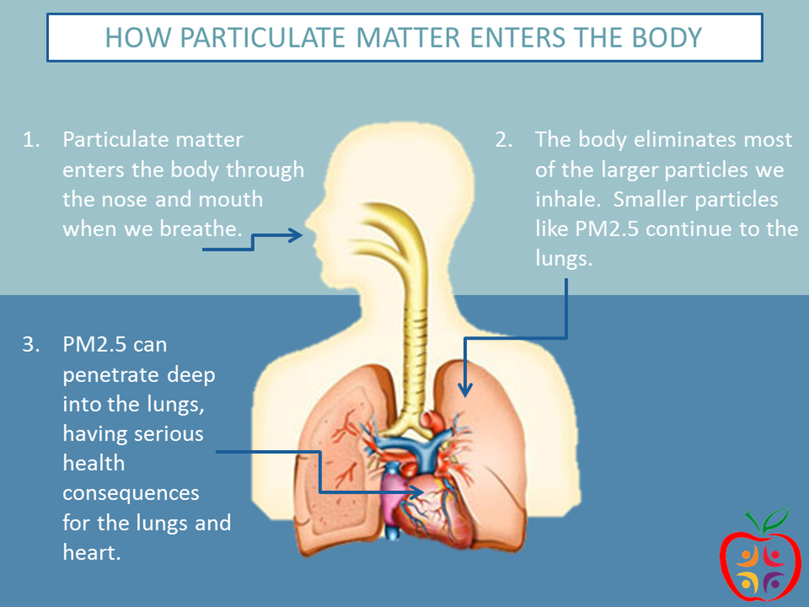 Particulate matter or particle pollution is a combination of solid particles and liquid droplets that are small enough to reach the small airways in the lungs, potentially causing damage.