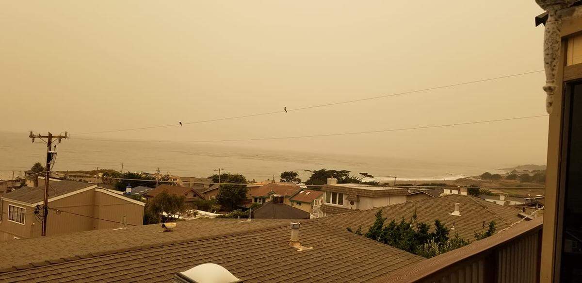 View in Cambria on the morning of Wednesday, Aug. 19, 2020.