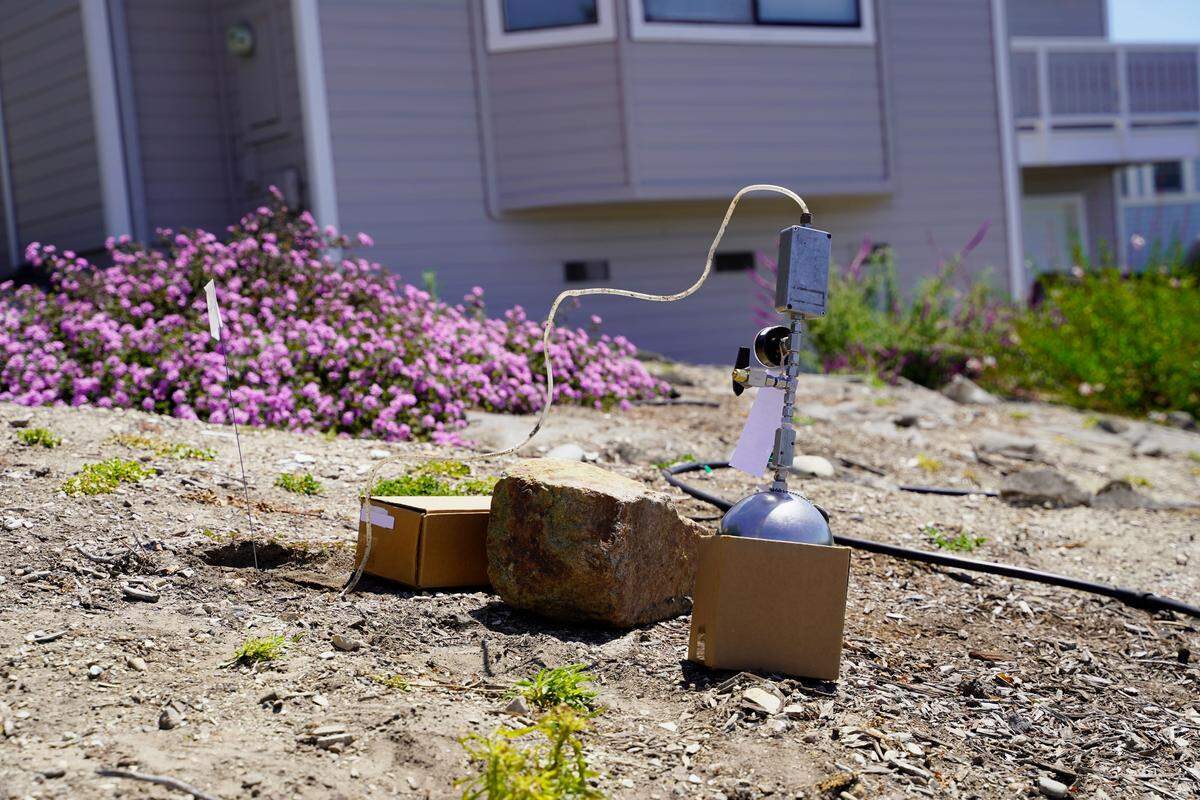 Soil vapor testing sits in the front yard of the property next door to Susan Flores’ home on East Branch Street in Arroyo Grande as part of the Kristin Smart investigation on May 6, 2026. Susan Flores is the mother of Paul Flores, who was convicted of Smart’s murder in 2022.