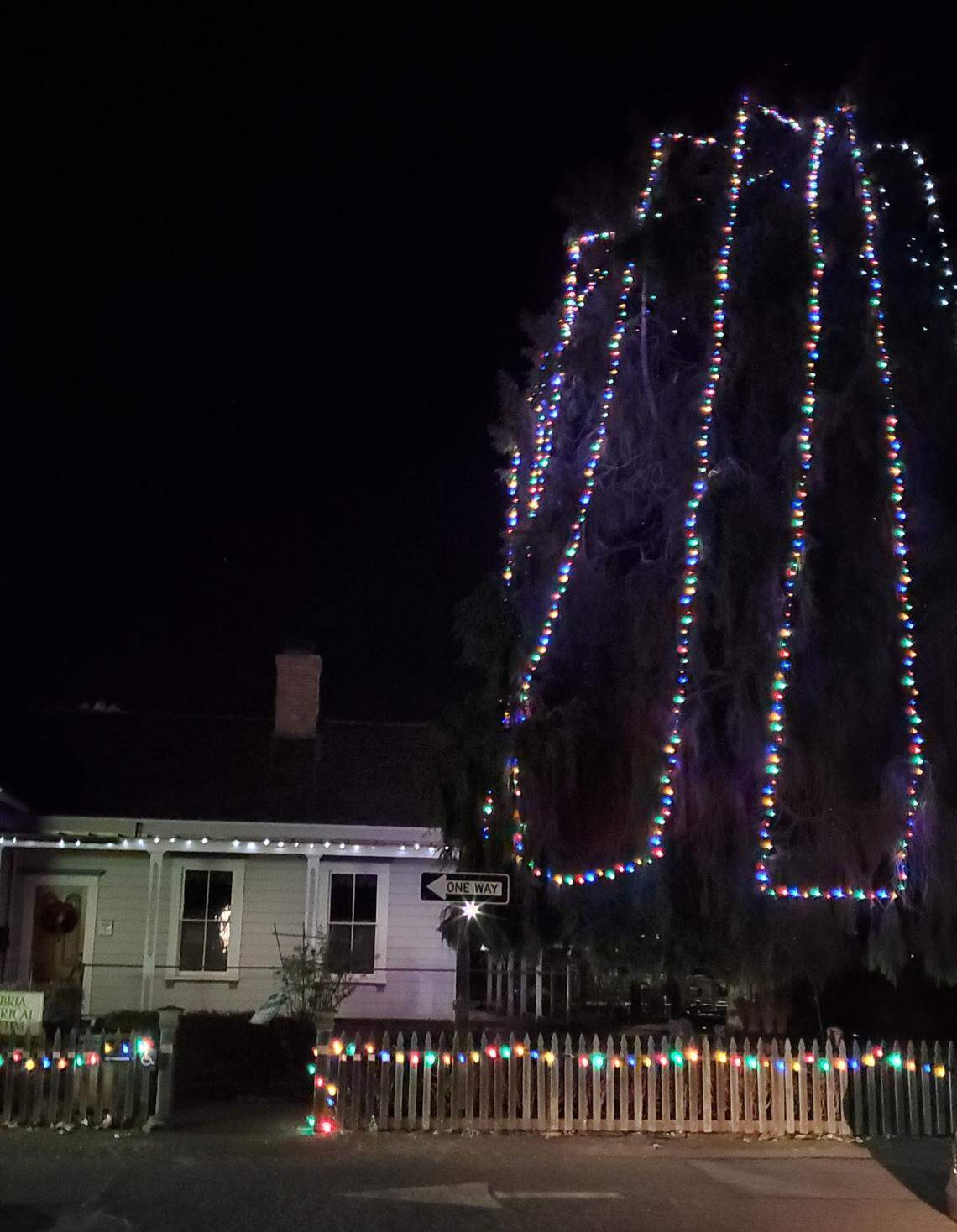 The Cambria Historical Society has a 25-year-old tradition of lighting up the Port Orford cypress known as Cambria’s official Christmas tree.