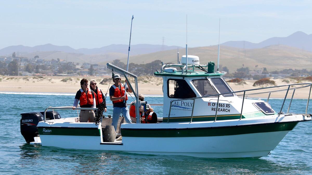 Cal Poly students took to the seas May 23, 2025, to test a prototype for a device aimed at harnessing the energy of waves to charge batteries. The students lift the ocean-powered generator anchors.