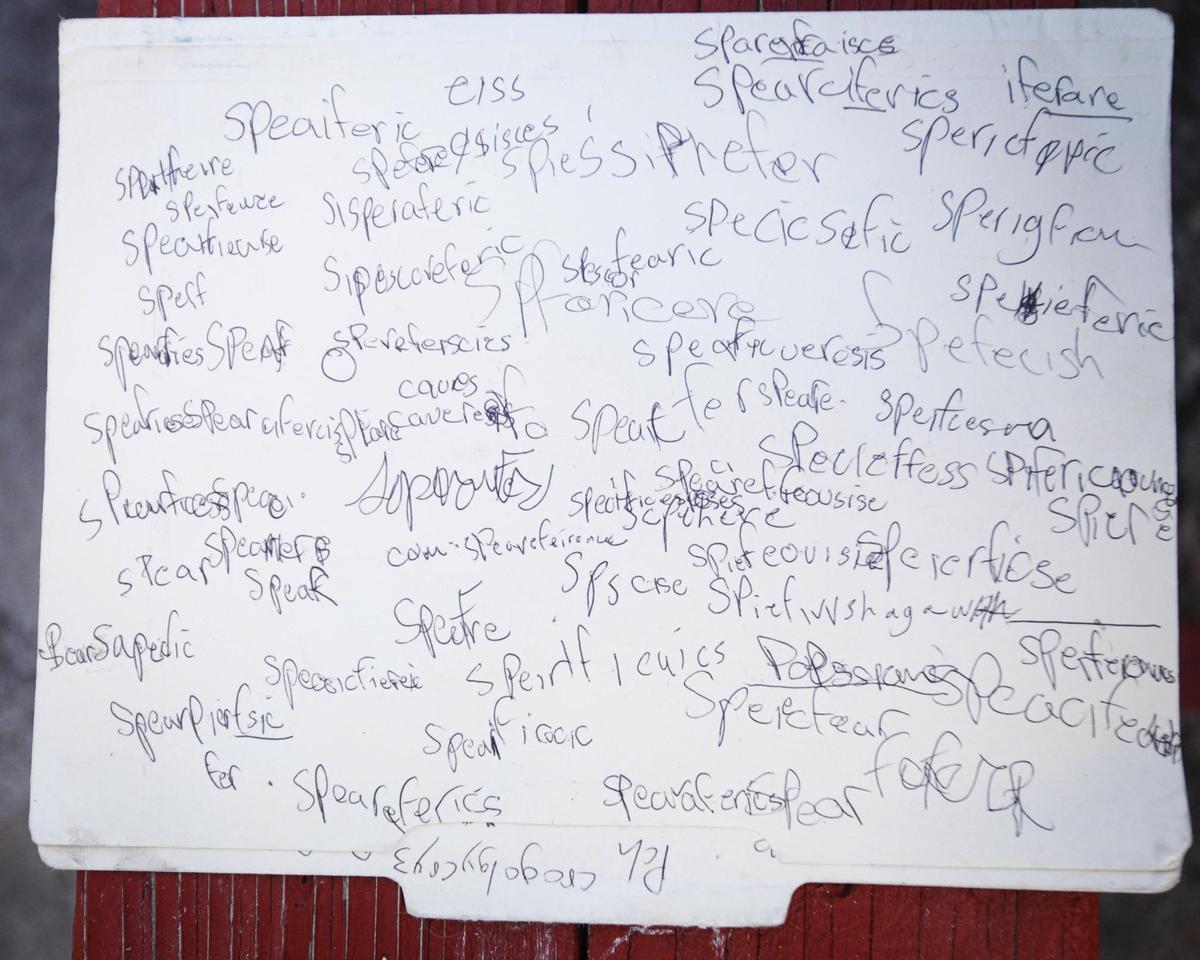 Dawn Marie Anderson has folders written on by her son. He has struggled with schizoaffective disorder and been in treatment or jail for over the last decade.