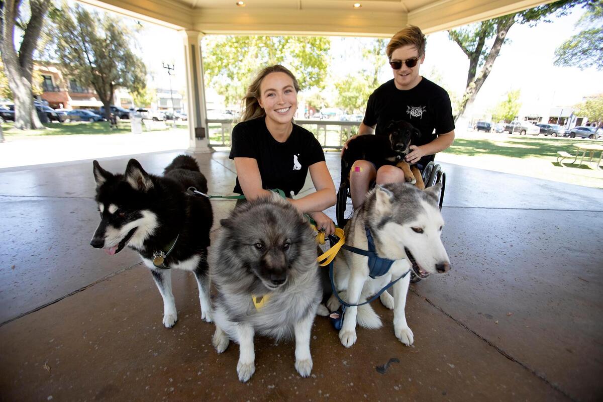 Emily Everett-Nelson holds (from left) Albus, Indie and Bolt. New puppy, Waylon, is on husband Jessy Nelson’s lap.