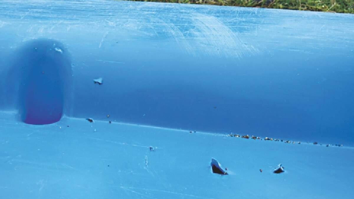 The shark punctured Joey Nocchi’s kayak as he was fishing Saturday near Leffingwell Landing.