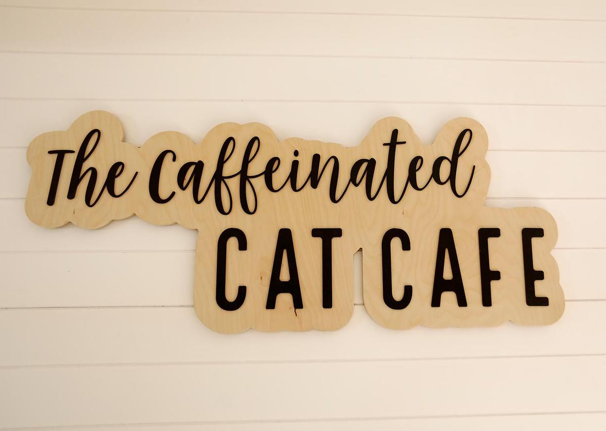 The Caffeinated Cat Cafe hosted its grand opening in Grover Beach on Dec. 14, 2024, after over a year of trying to get the business up and running.