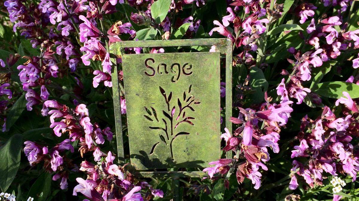UC Master Gardeners will host a free workshop on May 16, 2026, focusing on growing herbs.