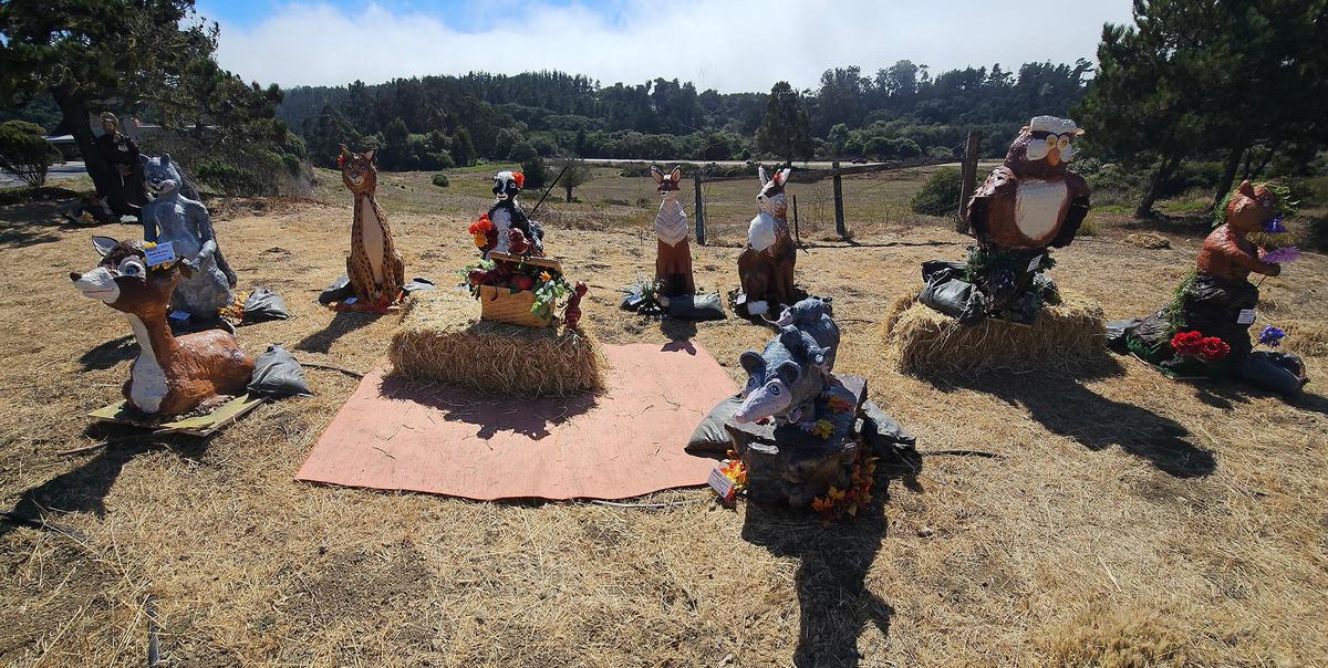 Cambria’s Scarecrow Festival is back. It runs the entire month of October. A group of scarecrow sculptures near the Santa Rosa Catholic Church on Main Street.