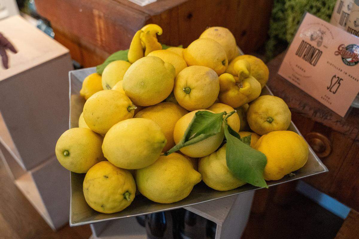 Fresh lemons used in the making of limoncello sit on display at Giuseppe’s Italian American Club on Tuesday, May 19, 2026. The deli and restaurant expansion of the existing Giuseppe’s Cucina Italiana in Pismo Beach recently started its own offshoot brand of limoncello.