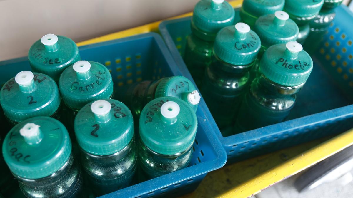 Students at Pleasant Valley Elementary School outside San Miguel have been drinking bottled water on account of the high arsenic content in an onsite well. A new well is under construction.
