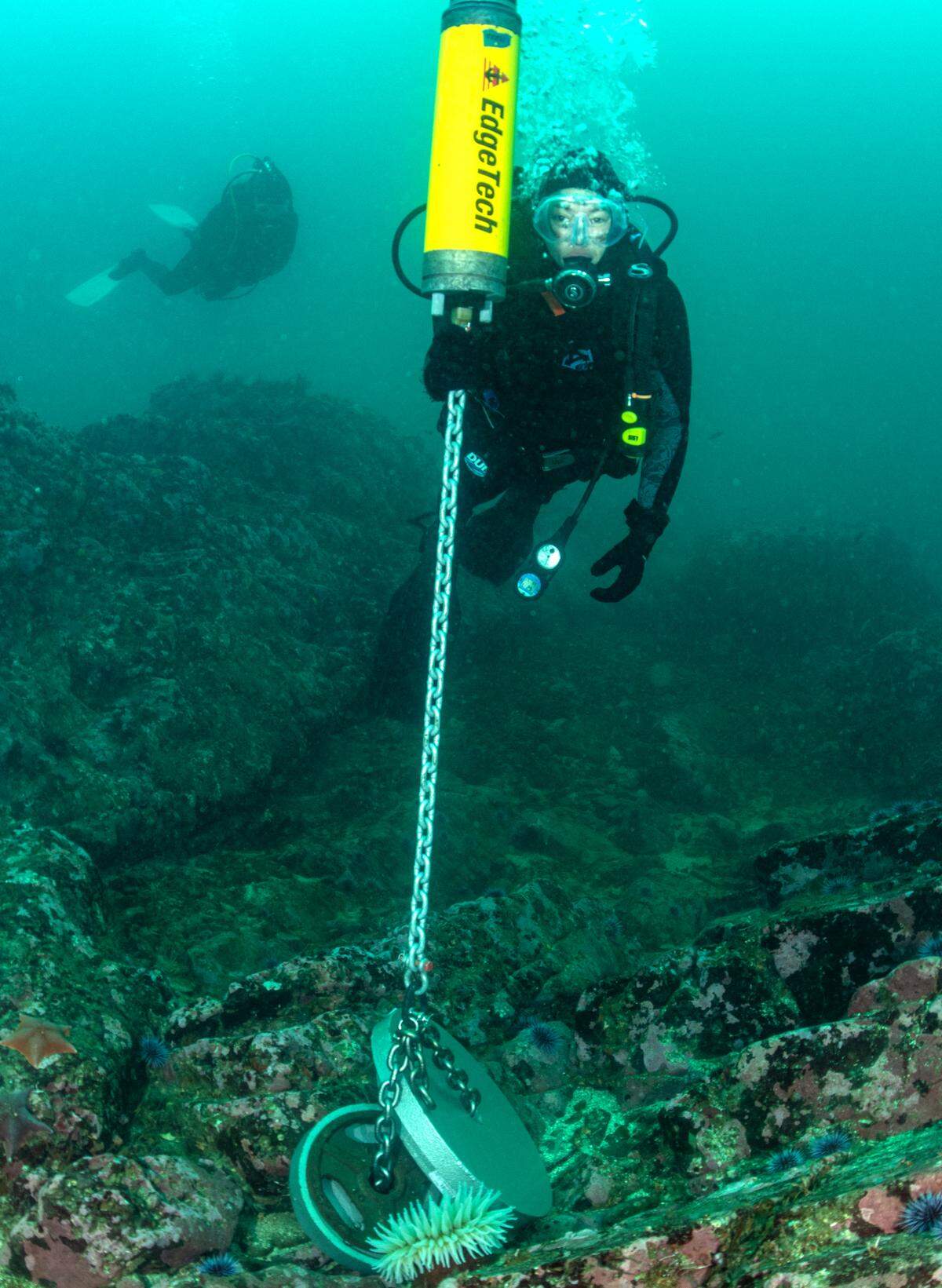 NOAA science diver Lindsey Peavey Reeves inspects the lower half of the soundscape mooring in place in 20 meters of water on July 12, 2023, off Point Estero. The NOAA Office of National Marine Sanctuaries and partners are listening to underwater sound inside the proposed Chumash Heritage National Marine Sanctuary.