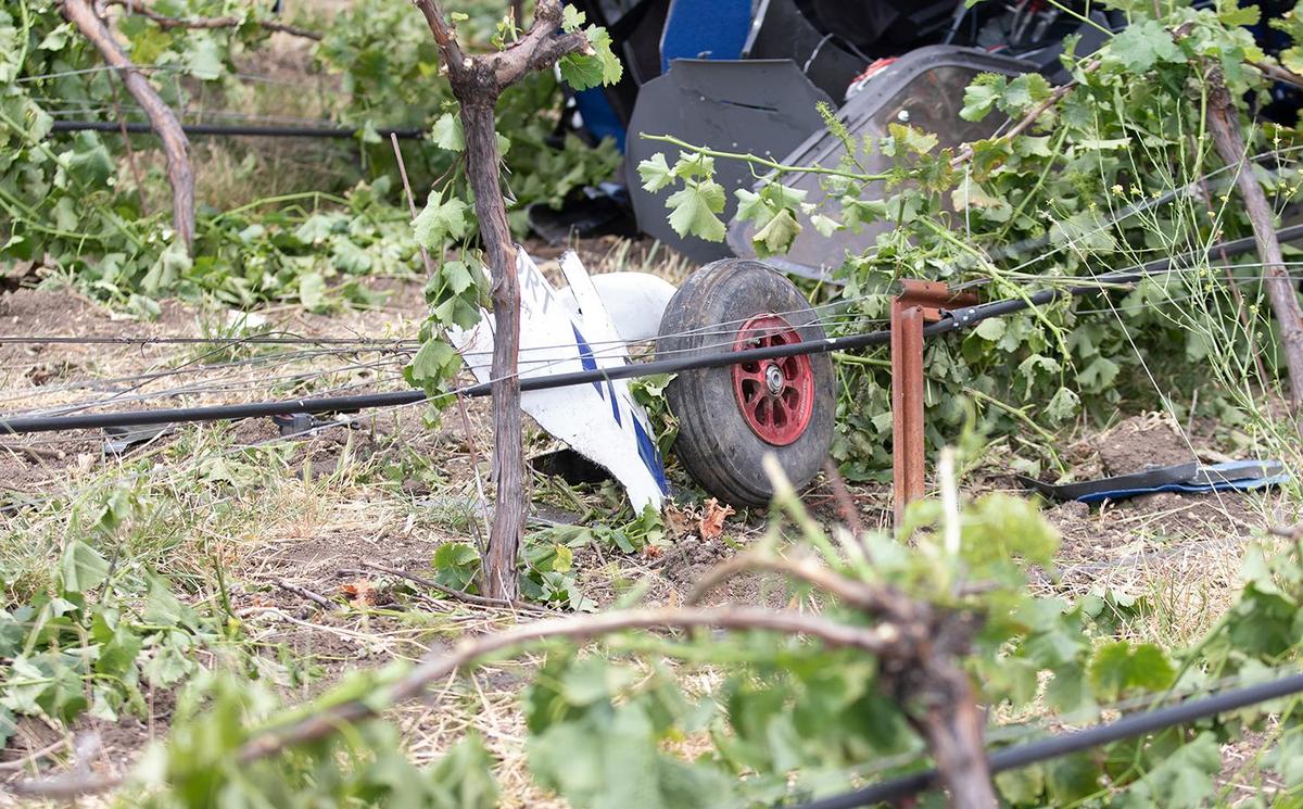 A small plane crashed in the vineyard beside the private airport at Halter Ranch winery in the hills west of Paso Robles, California, on Saturday, June 8, 2024.