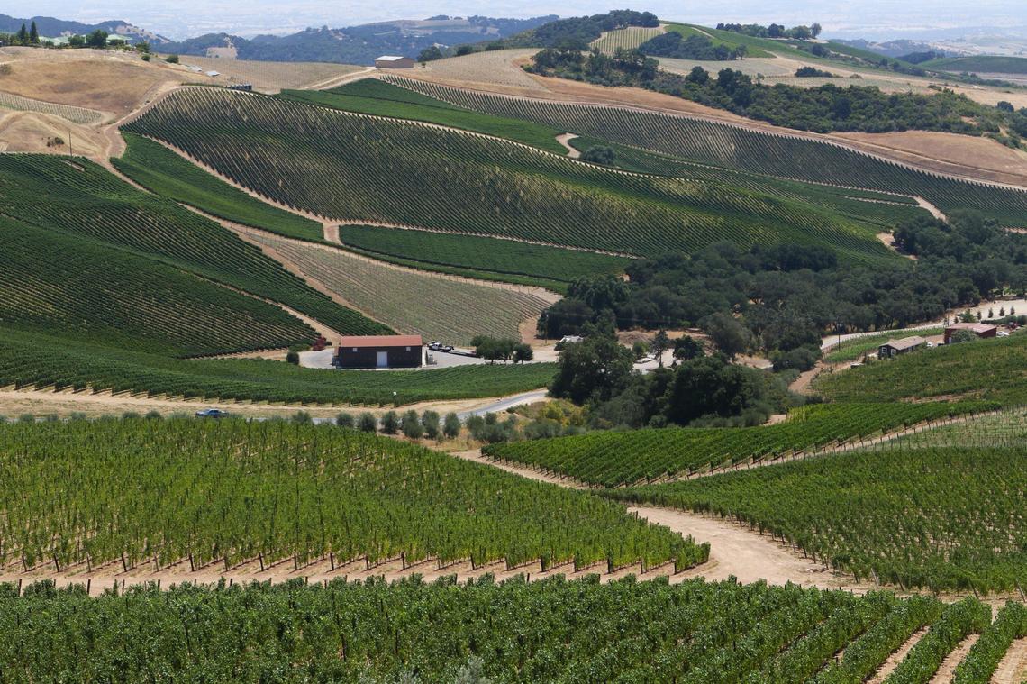 Daou Vineyards and Winery located in the hills of the Adelaida district west of Paso Robles.