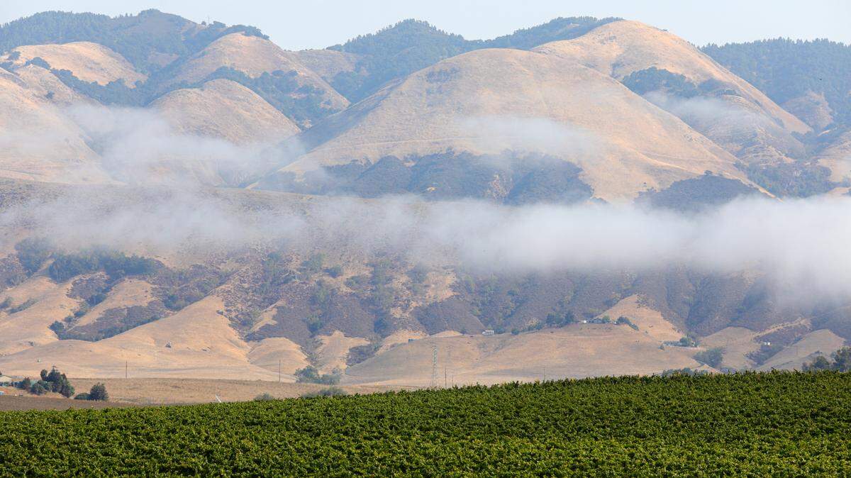 Farmers in Edna Valley, seen here in a file photo, want to use reclaimed water to irrigate crops, but the plan is languishing.