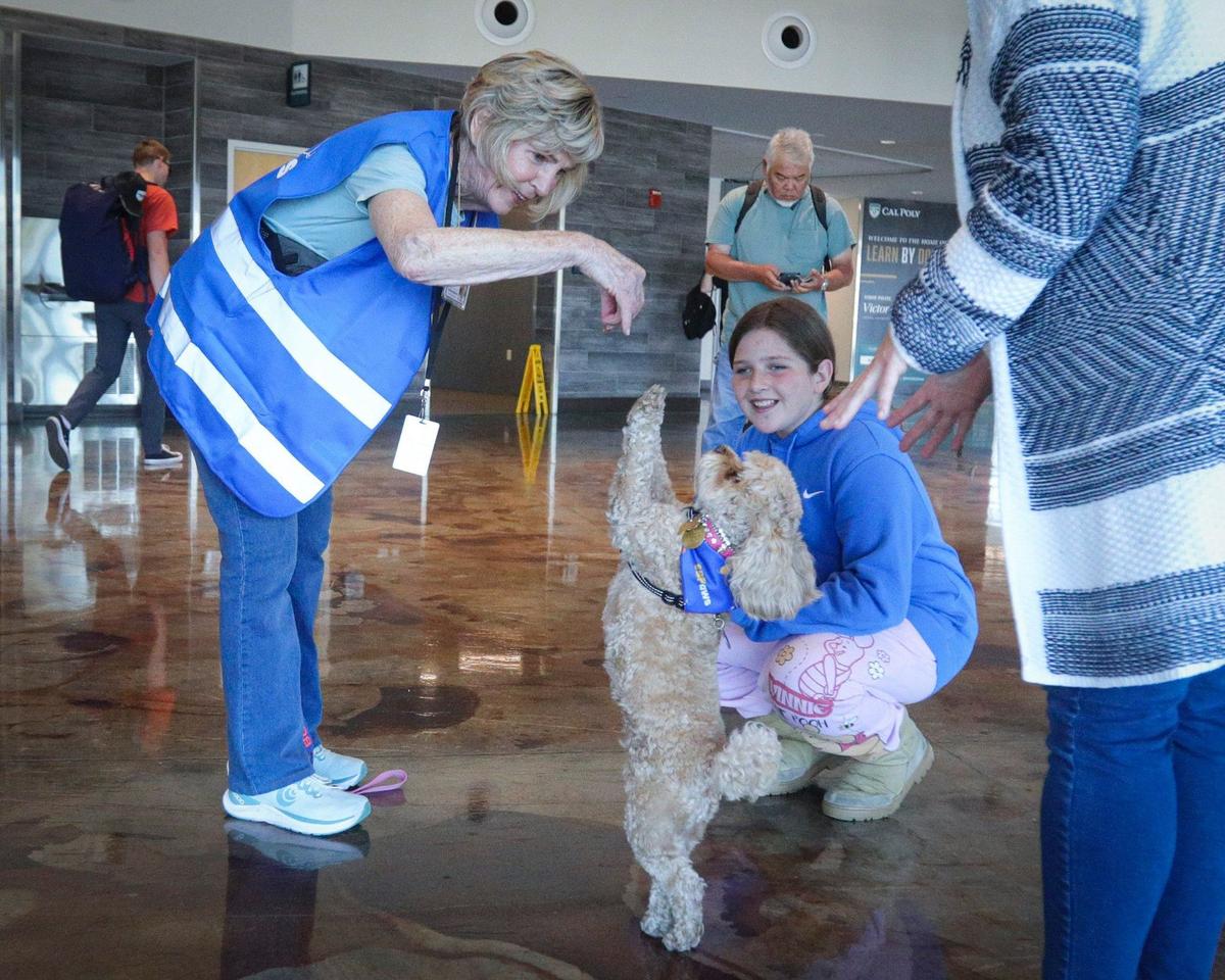 Barbara Nicholson has Bella dance as Annabelle Day, 10, and mom Katie watch.