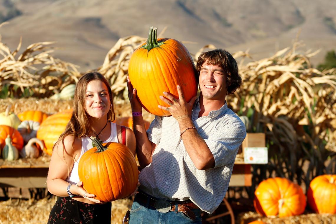 Rebecca Twyman, of Paso Robles and Trajan Beecham, from Los Osos poses for a photo with their pumpkins. Brookshire Farms, located on Los Osos Valley Road at the edge of San Luis Obispo city limits, sells pumpkins, and a harvest of gourds, squash, fruits and vegetables. They have a 3.8 acre corn maze with 3 miles of trails, play areas for children, hay rides, a go-kart track, bounce pads, games and much, much more.