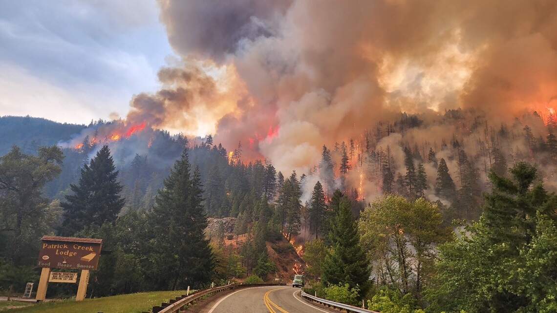 Congressman Valadao only half right with his concerns about forest health | Opinion