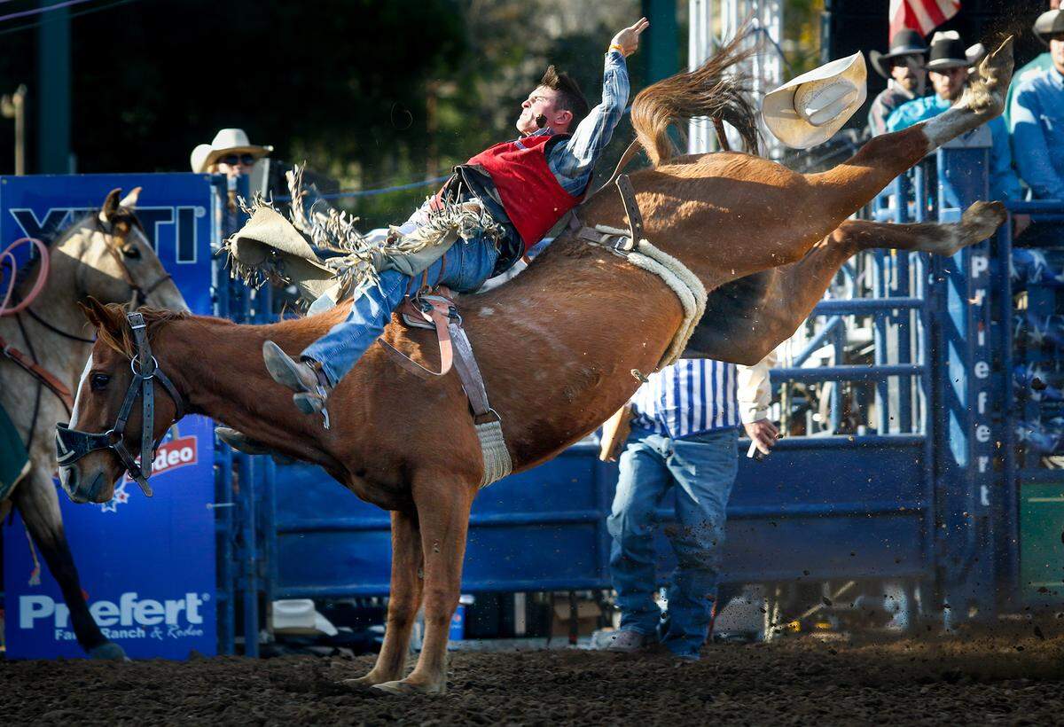 Mitchel Parham of Fresno won the bareback ride at Cal Poly’s Poly Royal Rodeo in 2019. This year’s 80th annual event has been canceled due to coronavirus fears.