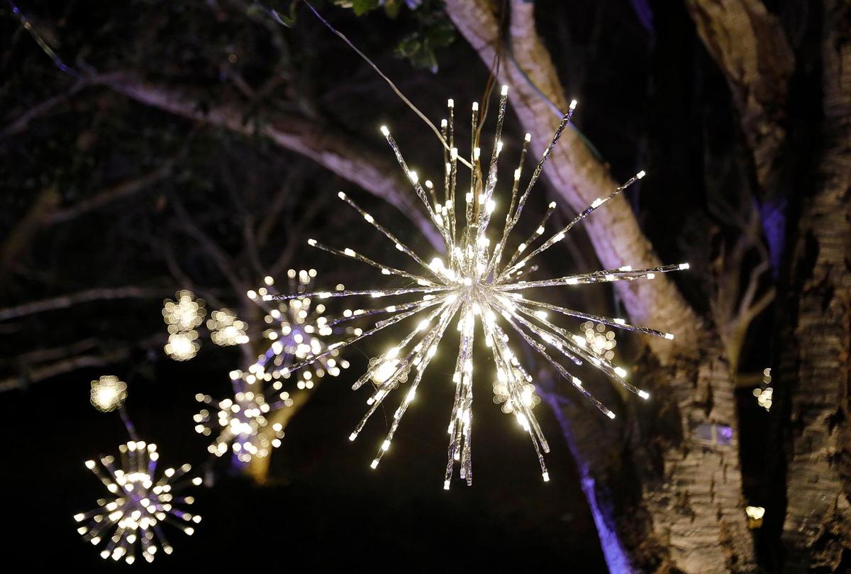Almost all the trees had lighted “stars” hanging from them. The SLO Botanical Garden has a new event called Nature Night. People can walk through an immersive outdoor holiday light and art exhibit, enjoy hot food and beverages.