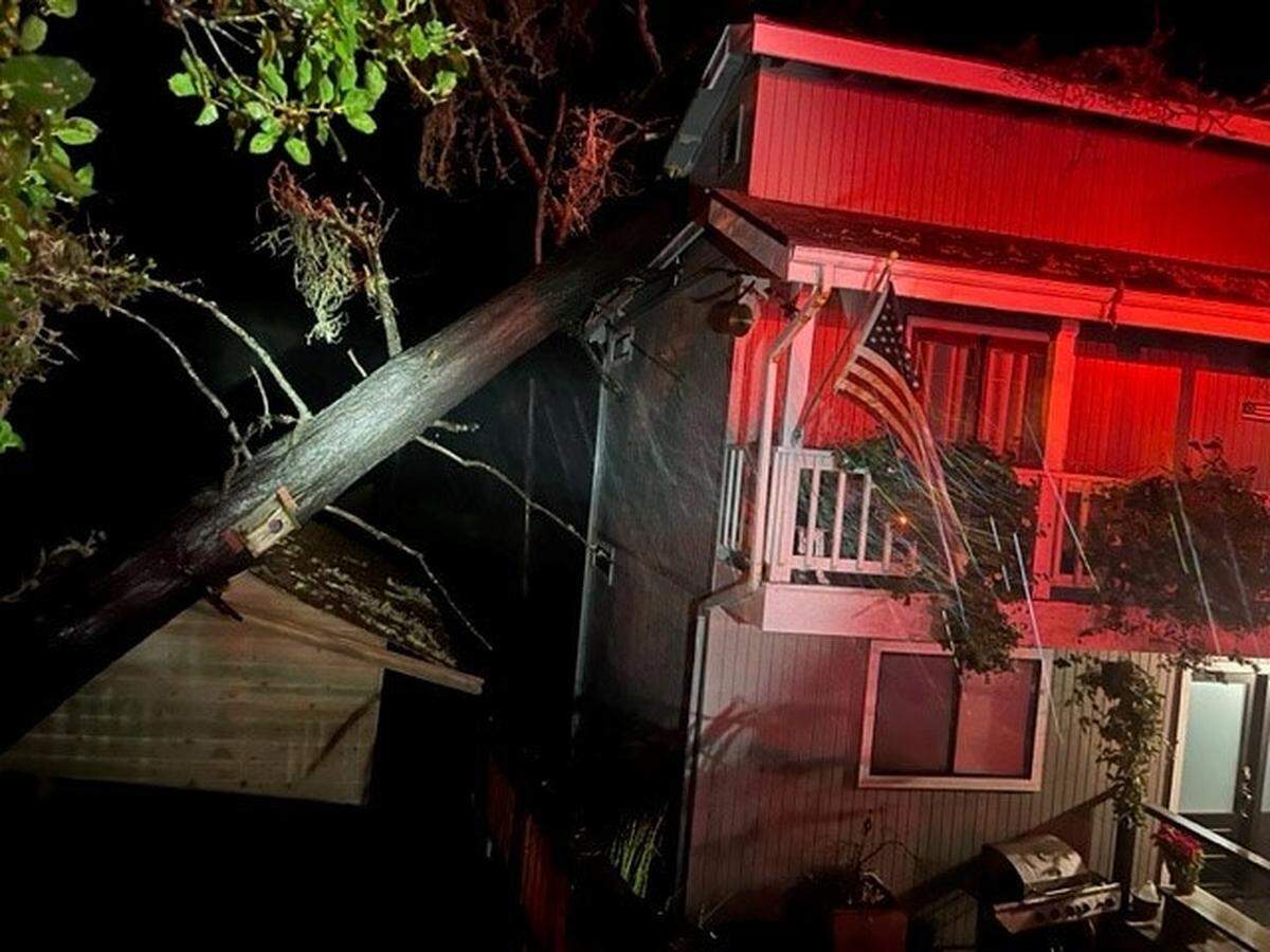 A large tree fell on a Bradford Road home in Cambria early on Jan. 9, 2023.