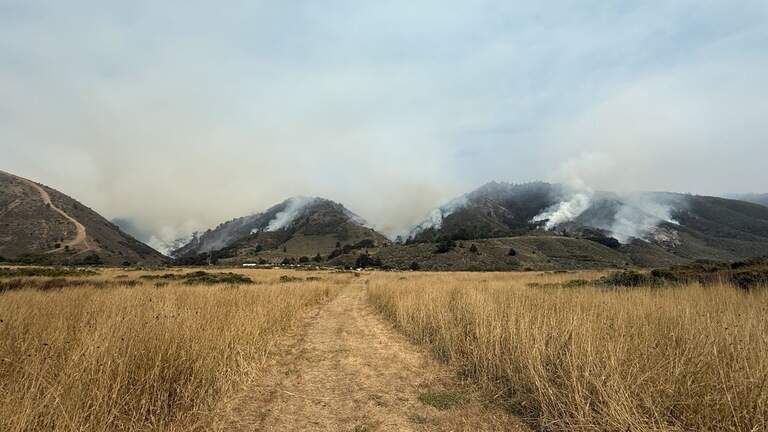 Plaskett Fire outpaces Timber Fire burning in Big Sur. See latest progress update