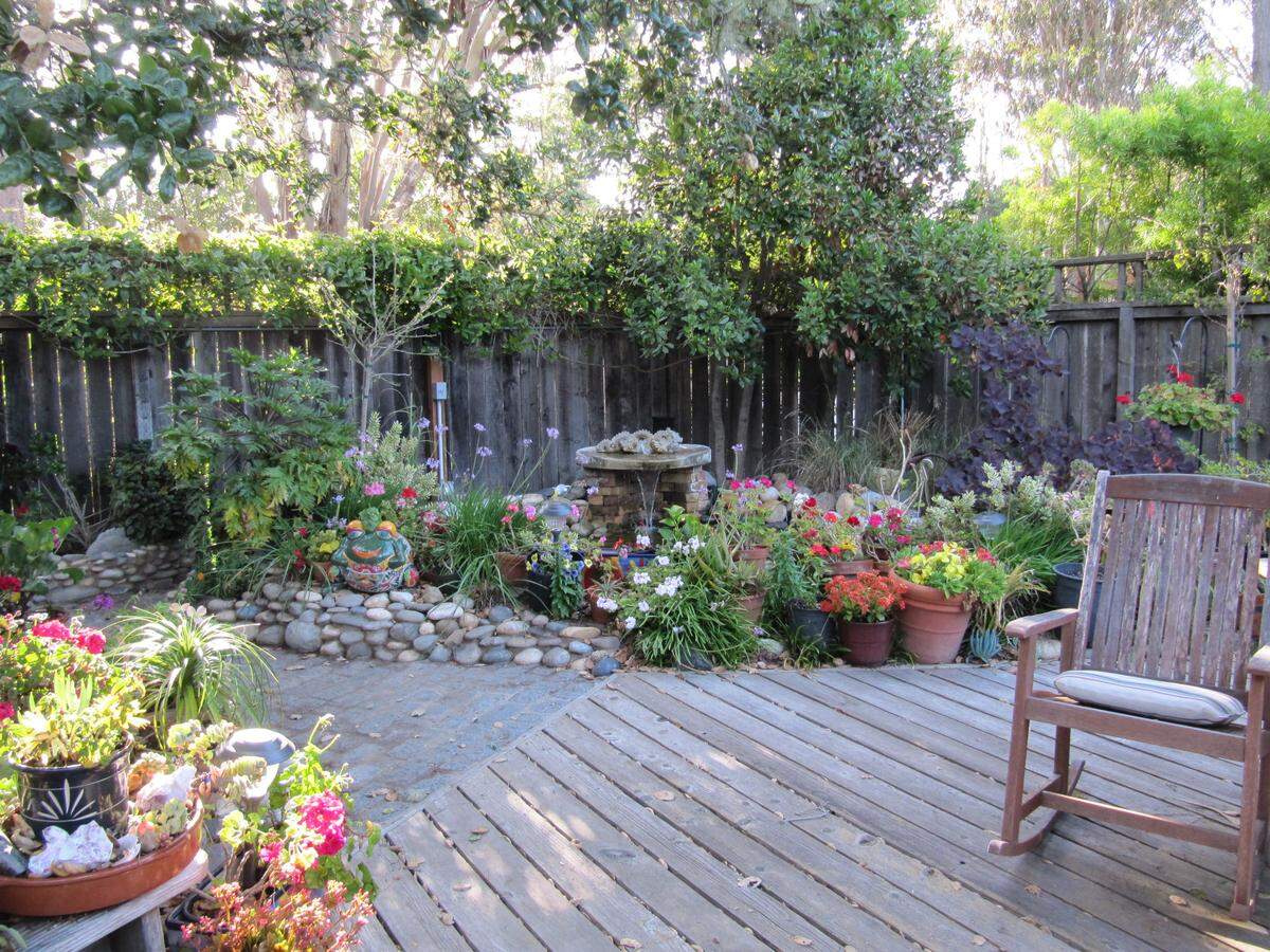 This photo of the Zen Garden at columnist Kathe Tanner’s Cambria home was taken before a hungry deer wiggled into the heretofore inaccessible area recently and munched its way through a floral buffet of blooms.