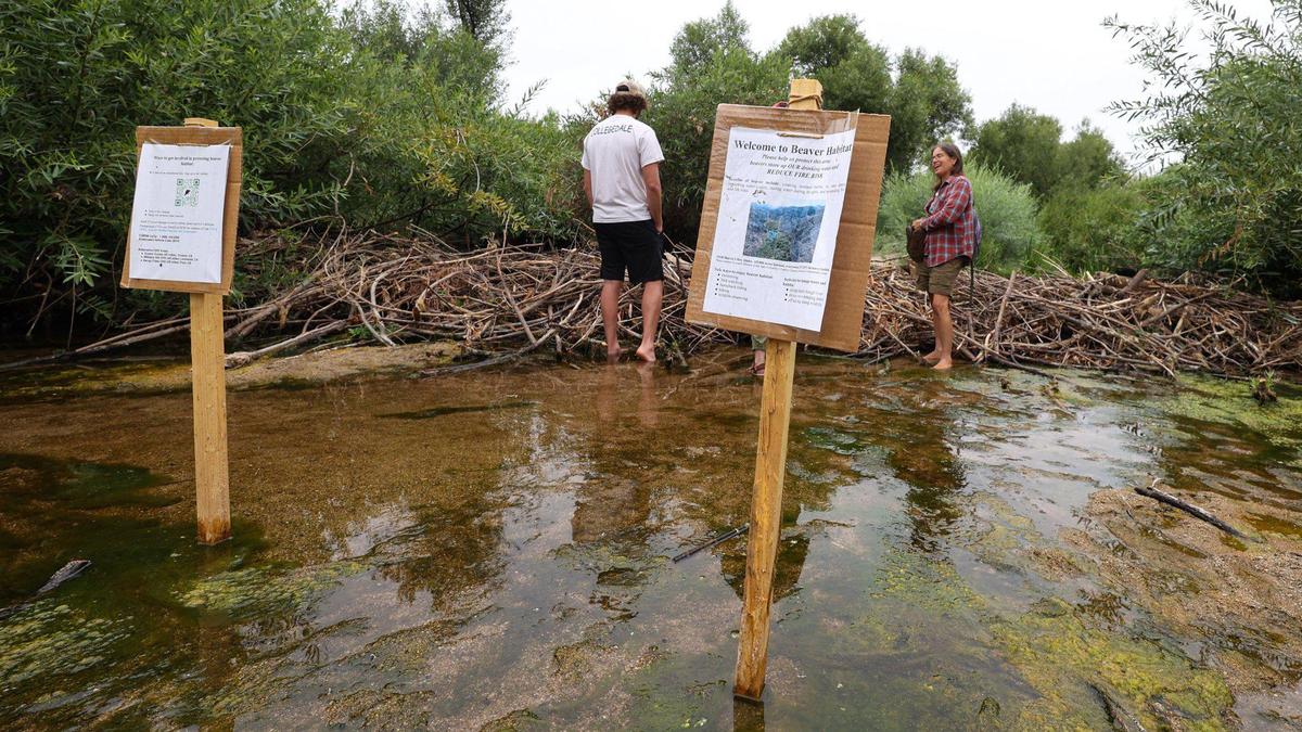Cooper Lienhart, left, and Audrey Taub with the SLO Beaver Brigade look at a dam on the Salinas River marked with interpretive signs. They are hoping to educate off road riders to not dismantle or drive over beaver dams in the river.