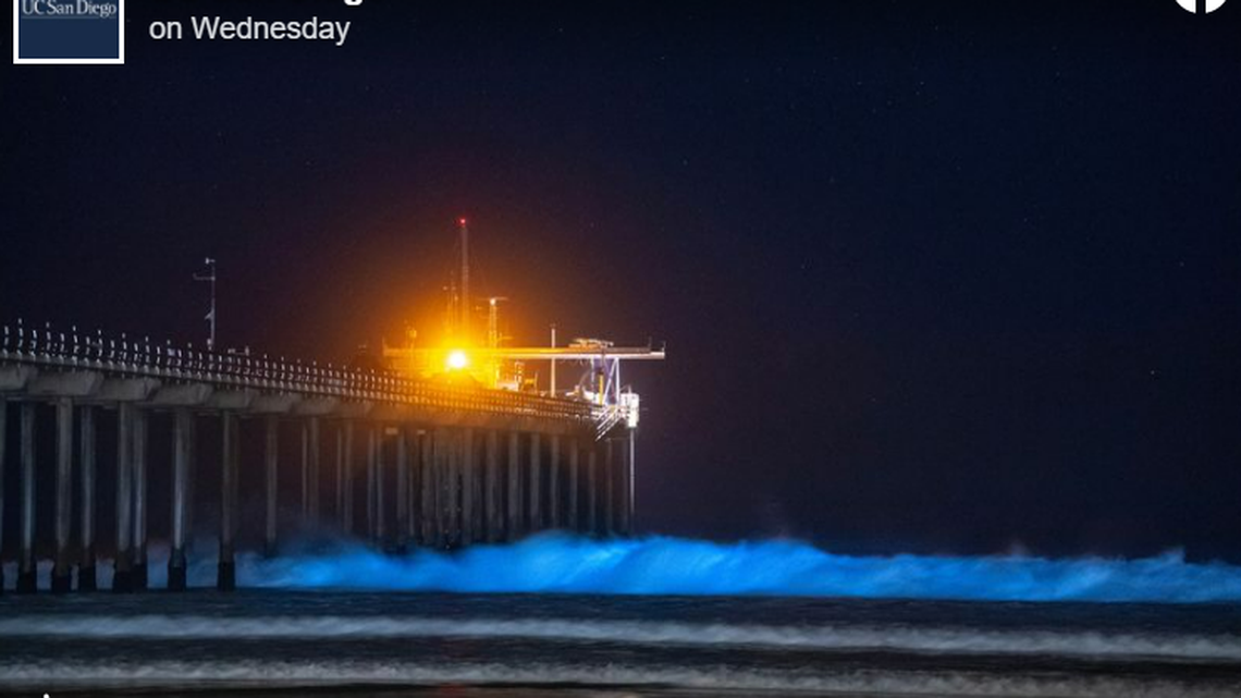 Beachgoers caught a glimpse of bioluminescence in Southern California waters this month. The blue glow comes from bioluminescent phytoplankton that are agitated in the water by waves.