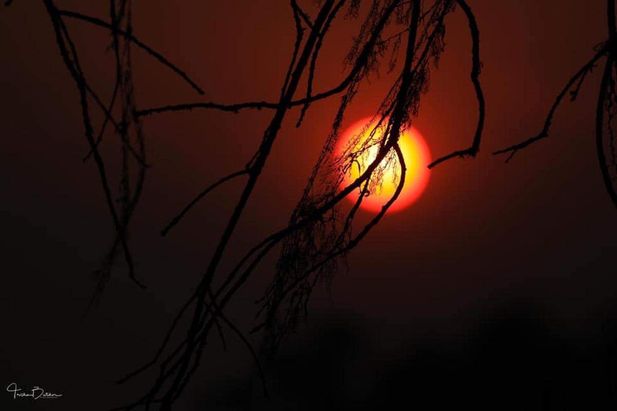 Sunset in Paso Robles on Tuesday, Aug. 18, 2020.