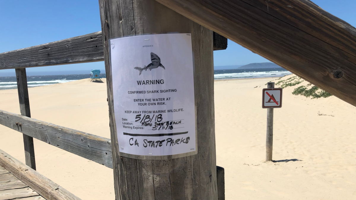 California State Parks officials posted a warning to beachgoers after a confirmed shark sighting in the waters off Pismo State Beach on Tuesday, May 8, 2018.