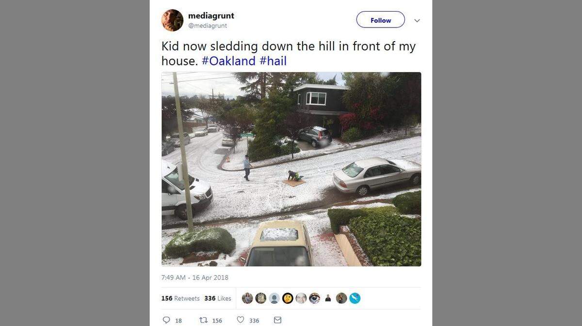 A child took advantage of the unseasonably wintry weather in the San Francisco Bay Area on Monday and sledded down a hill in Oakland.