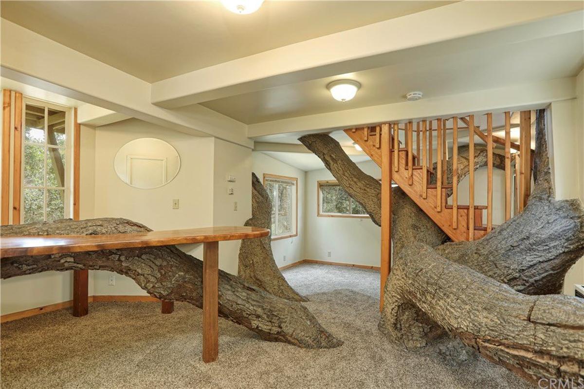 A tree grows inside this apartment on 765 Price Canyon Road in Pismo Beach, California.
