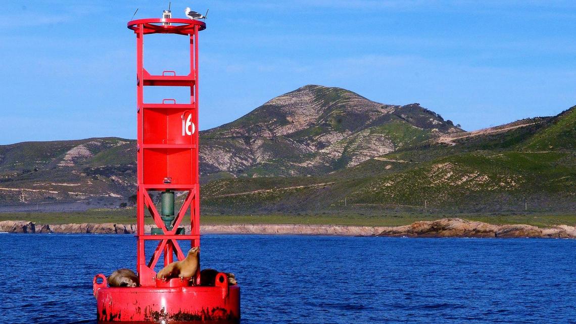 Record heat on the Central Coast indicates a troubling trend, meteorologist says