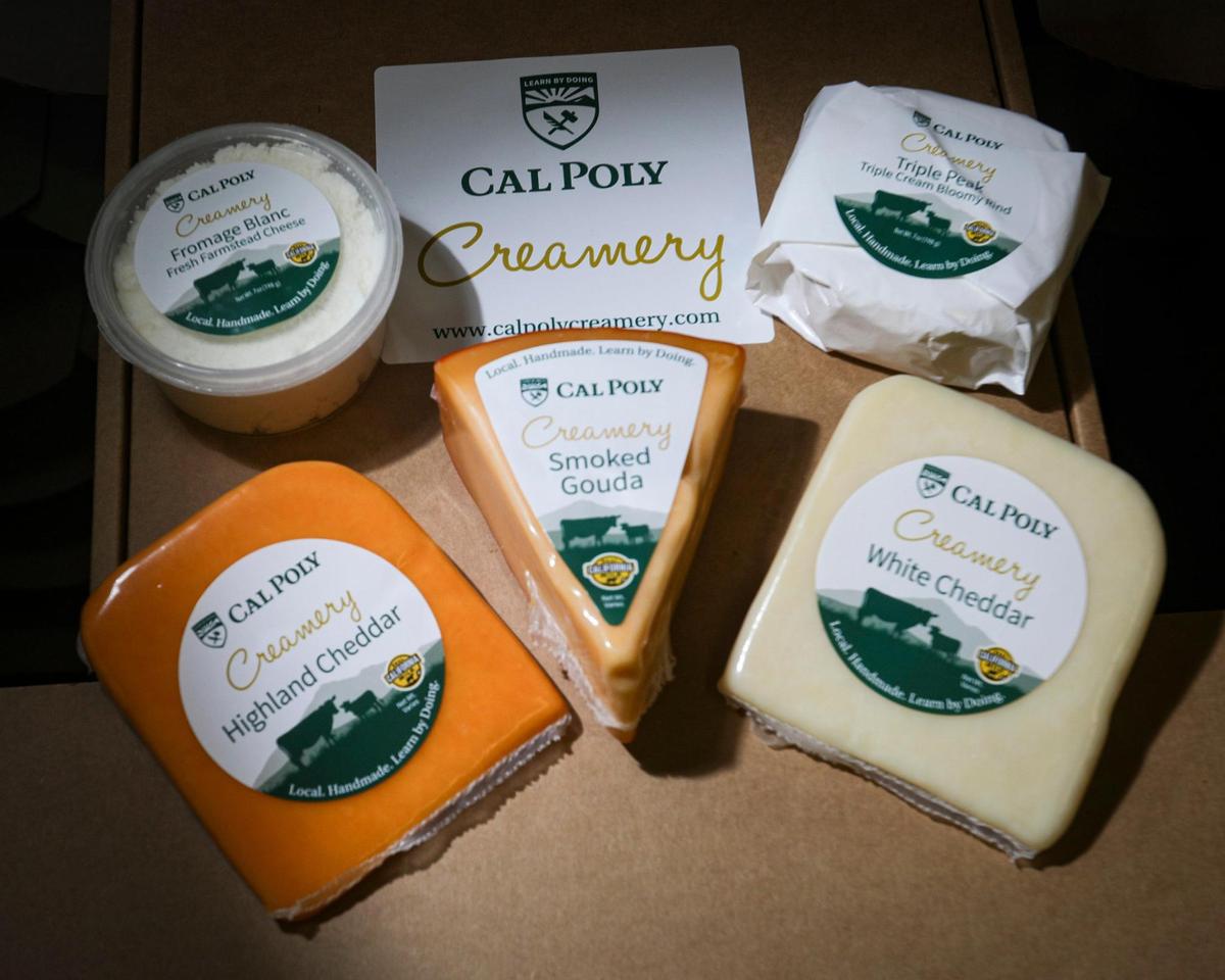 Cal Poly Creamery is selling gift boxes cheeses for the holidays seen here on Nov. 7, 2024.