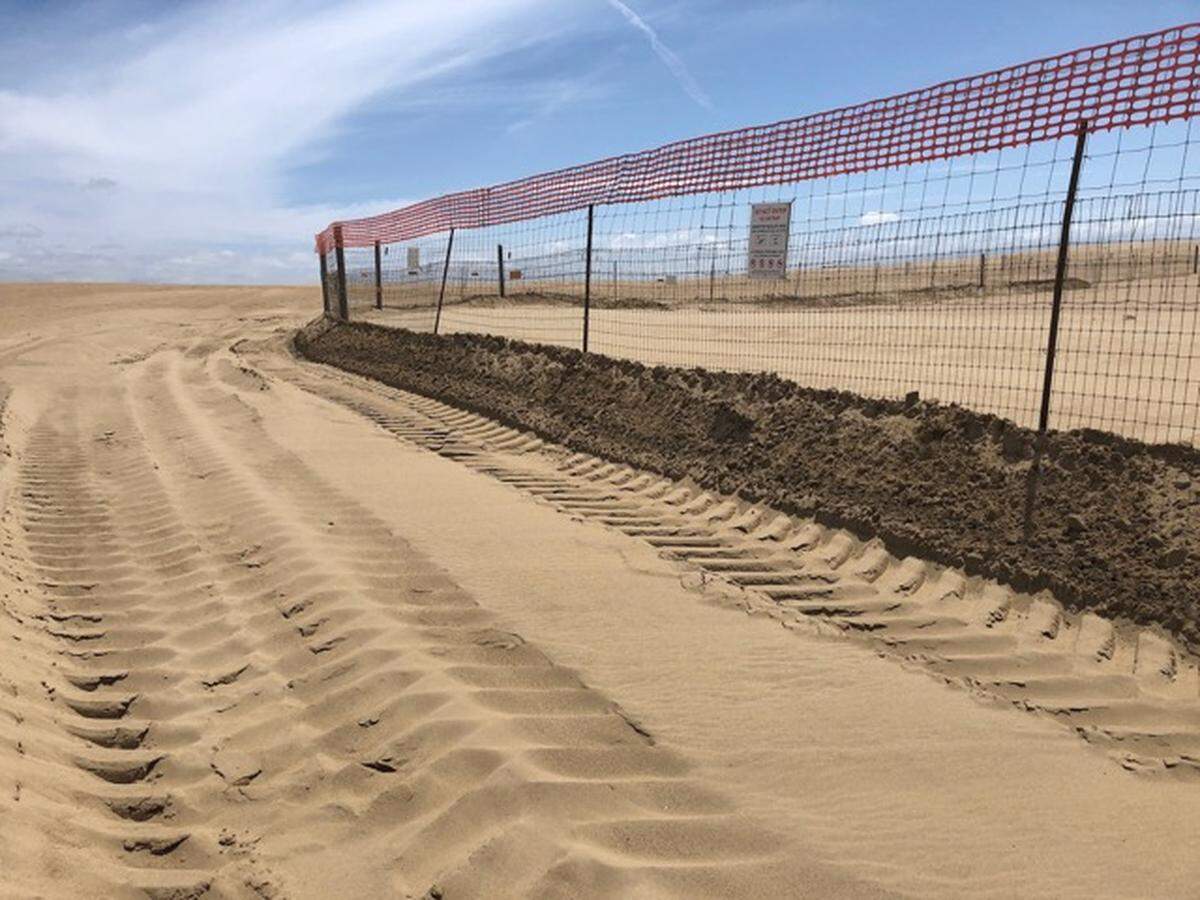 Tire tracks can be seen adjacent to a snow plover nesting area at the Oceano Dunes State Vehicular Recreation Area, in a photo taken April 19, 2020. After the park was closed due to the coronavirus, the endangered birds began expanding their habitat out of the fenced areas.