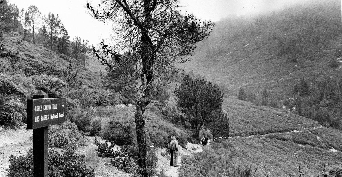 The headwaters of Lopez Creek provide a portal to an environmental paradise deep inside the Los Padres National Forest yet close to San Luis Obispo. This photo was originally published in April 1988 with a series of stories in the Telegram-Tribune on the Los Padres National Forest.