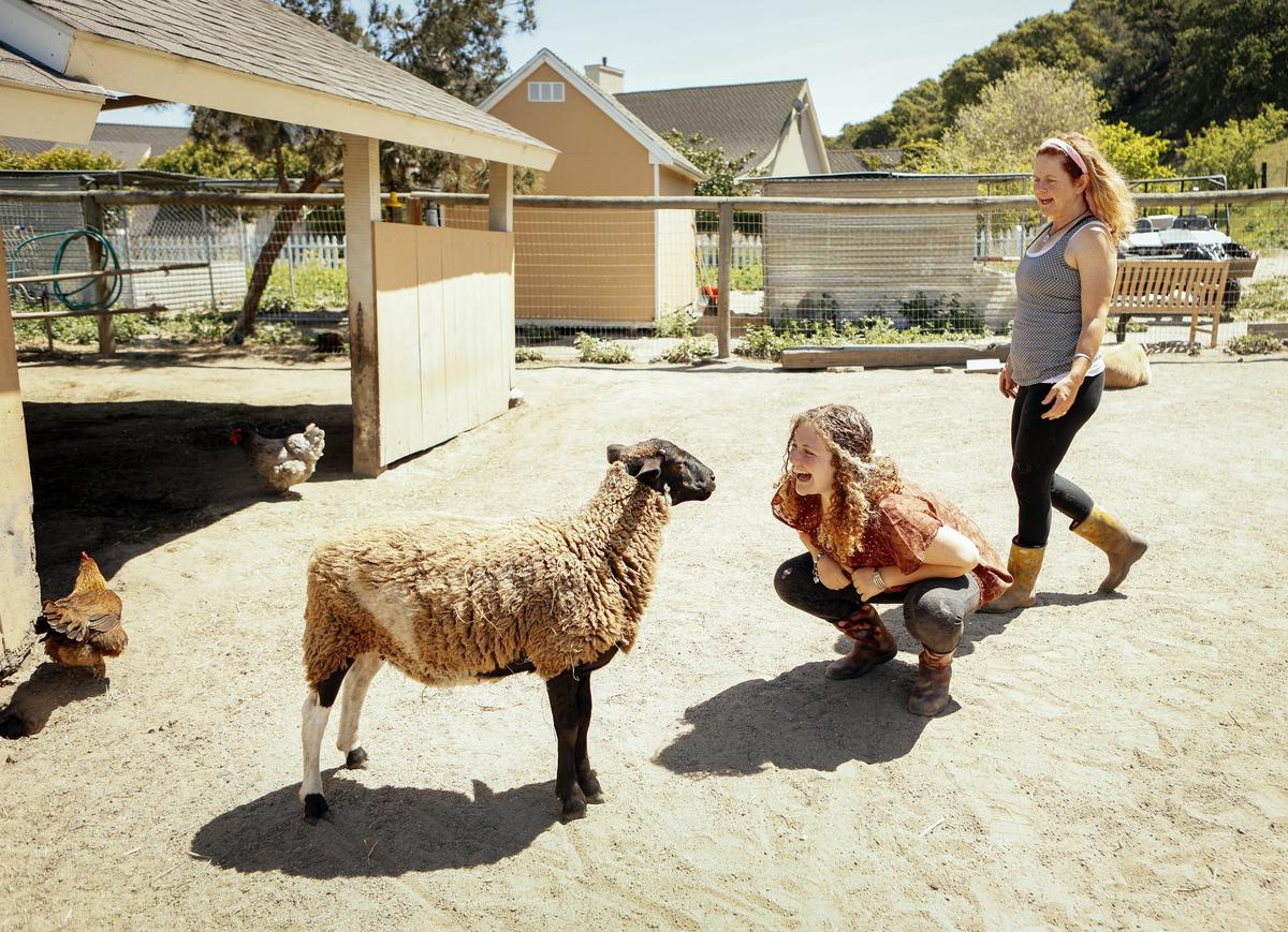 Zoe Rosenberg, 15, and her mom Sherstin Rosenberg greet Eddie, who was rescued from a slaughterhouse, at their San Luis Obispo animal sanctuary.
