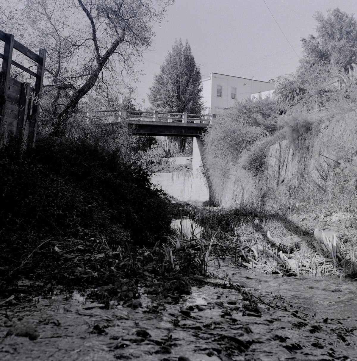 Tis view indicates heavy growth and possibilities for attractive landscaping. Reporter Gil Bailey and photographer John Dreyfuss took a walk down a junk filled San Luis Obispo creek before Mission Plaza was built for a story published Dec. 28, 1963.