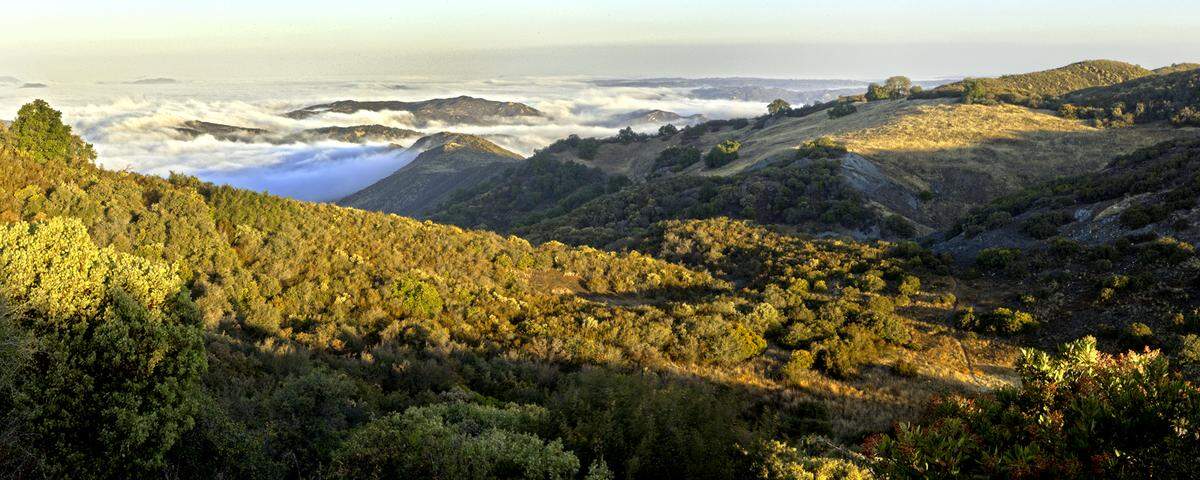 The Santa Lucia Wilderness area.