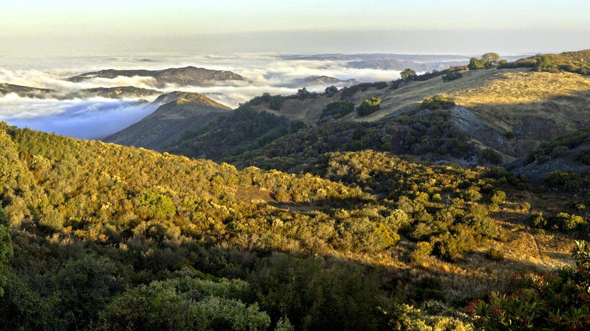 The Santa Lucia Wilderness area.