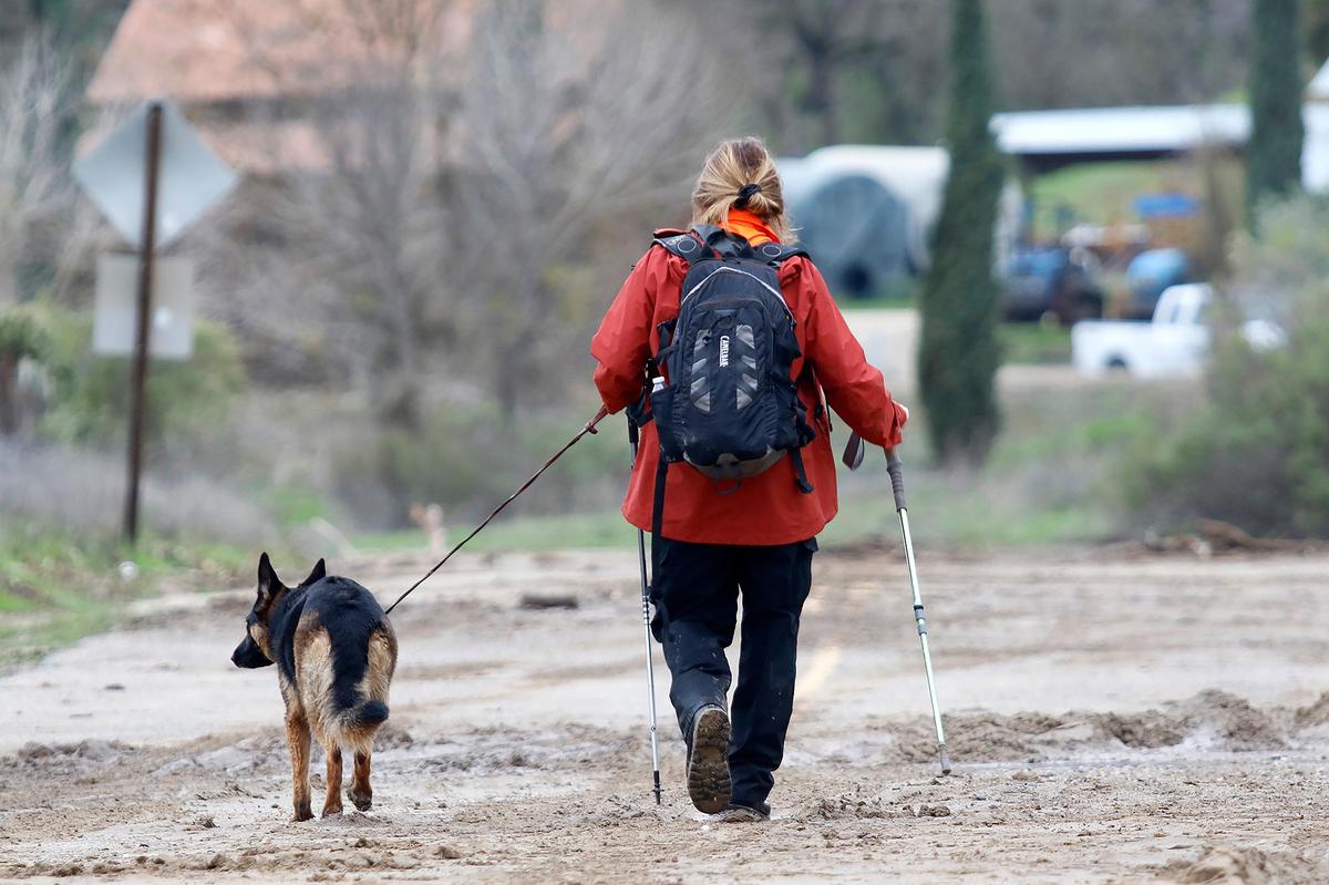 A German shepherd was deployed to help in the search for 5-year-old Kyle Doan, who was swept away by floodwaters in San Miguel on Monday.