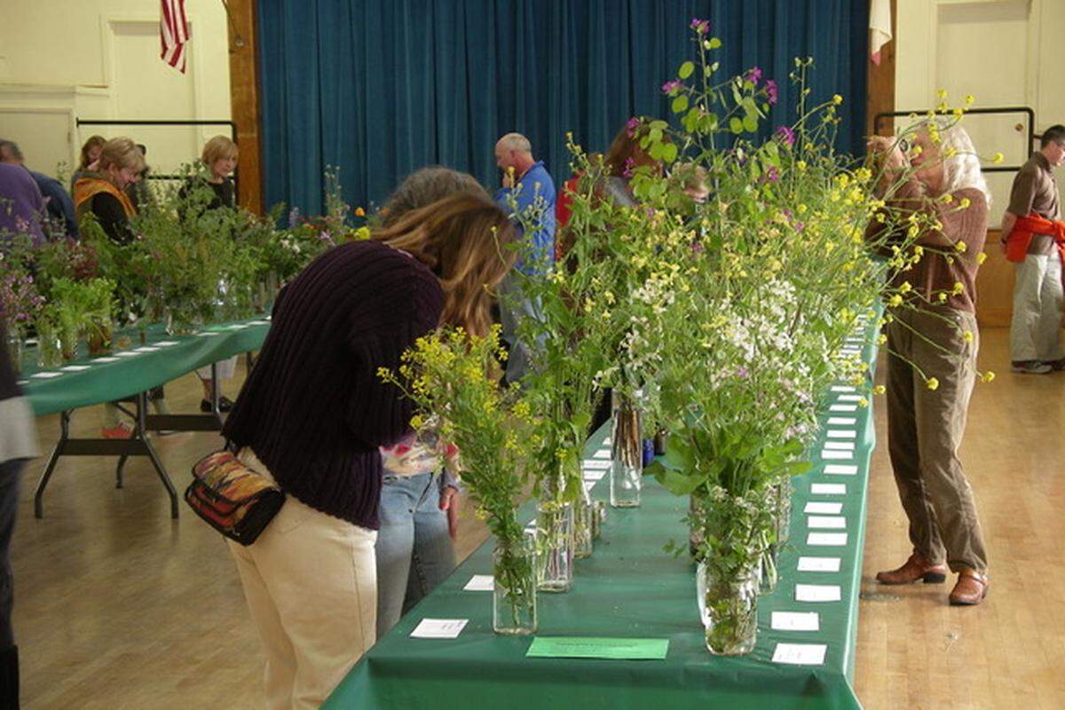 The Cambria Wildflower Show, sponsored by Friends of the Fiscalini Ranch Preserve, will be held Saturday, April 29, and Sunday, April 30, 2023.
