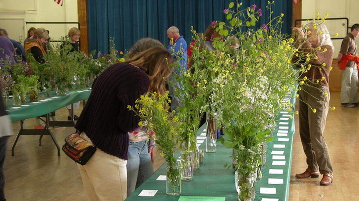The 14th Annual Cambria Wildflower Show, sponsored by Friends of the Fiscalini Ranch Preserve, is free to students of all ages, but we will be asking others for a $3 donation at the door to help cover costs.