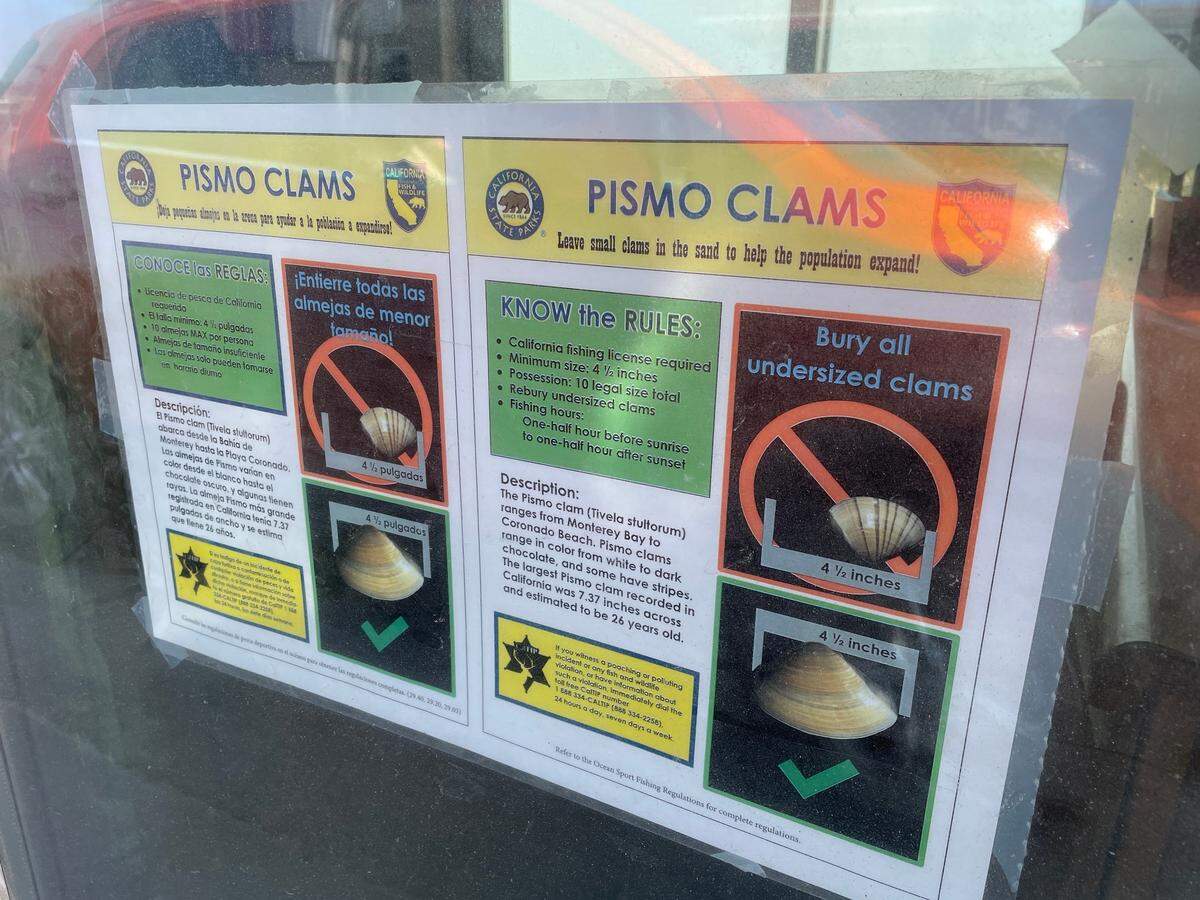 The signs posted at the California State Parks entrance stations to Pismo State Beach and Oceano Dunes State Vehicular Area warn visitors of poaching Pismo clams on the beach.