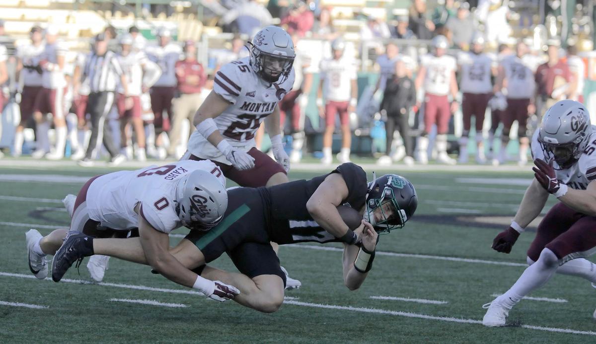 Cal Poly quarterback Richie Watts gets sacked as the Mustangs fell to Montana 42-7 in a college football game at Mustang Memorial Stadium on Nov. 2, 2024.